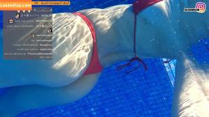 Meowko фото #0322