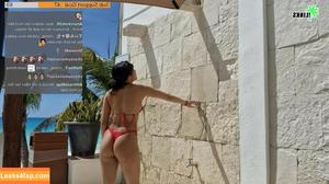 Meowko фото #0328