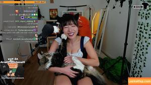 Meowko фото #0411