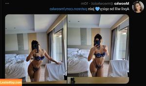 Meowko фото #0744