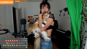 Meowko фото #0940