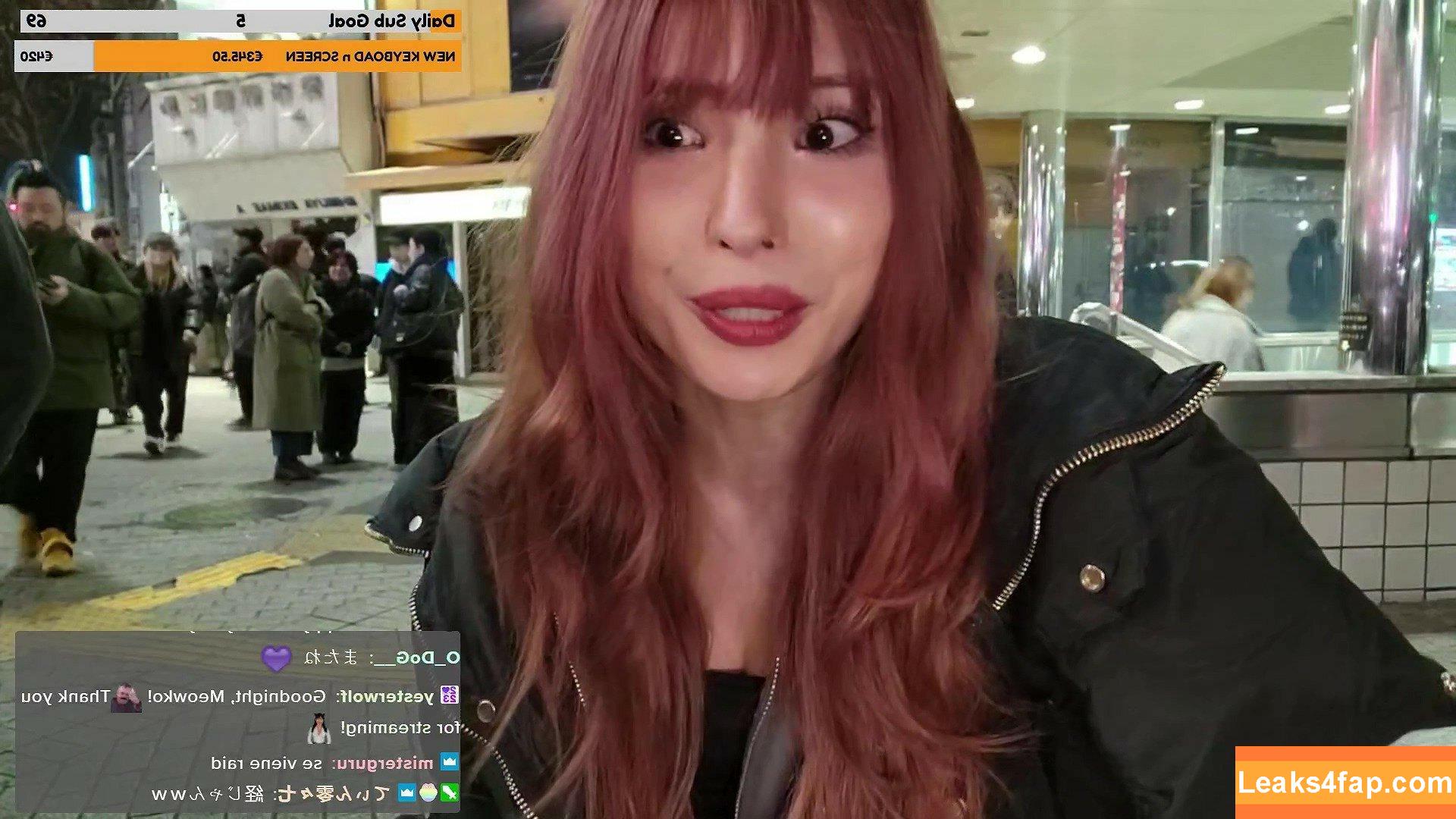 Meowko / meowkolol слитое фото фото #1993