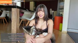 Meowko фото #1026