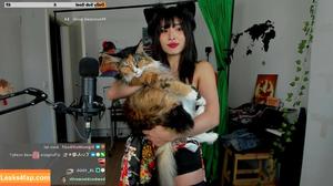 Meowko фото #1030