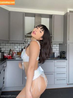 Meowko фото #1209