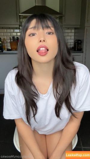 Meowko фото #1272