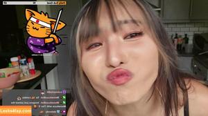 Meowko фото #1344