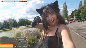 Meowko фото #1360