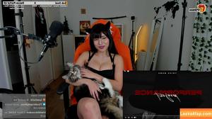 Meowko фото #1799