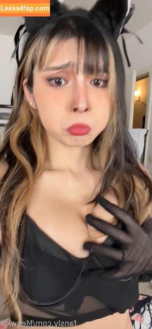 Meowko фото #1882