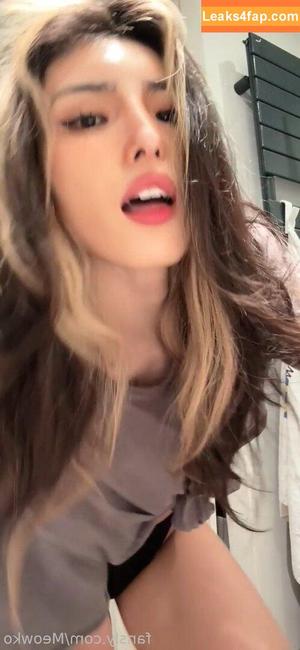 Meowko фото #1943