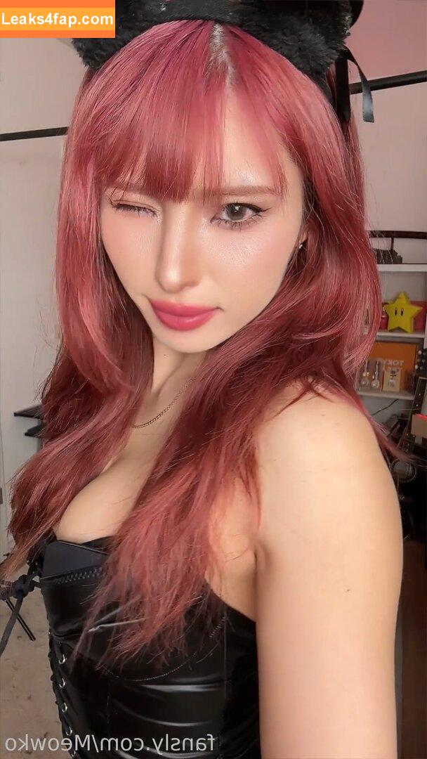 Meowko / meowkolol слитое фото фото #2282