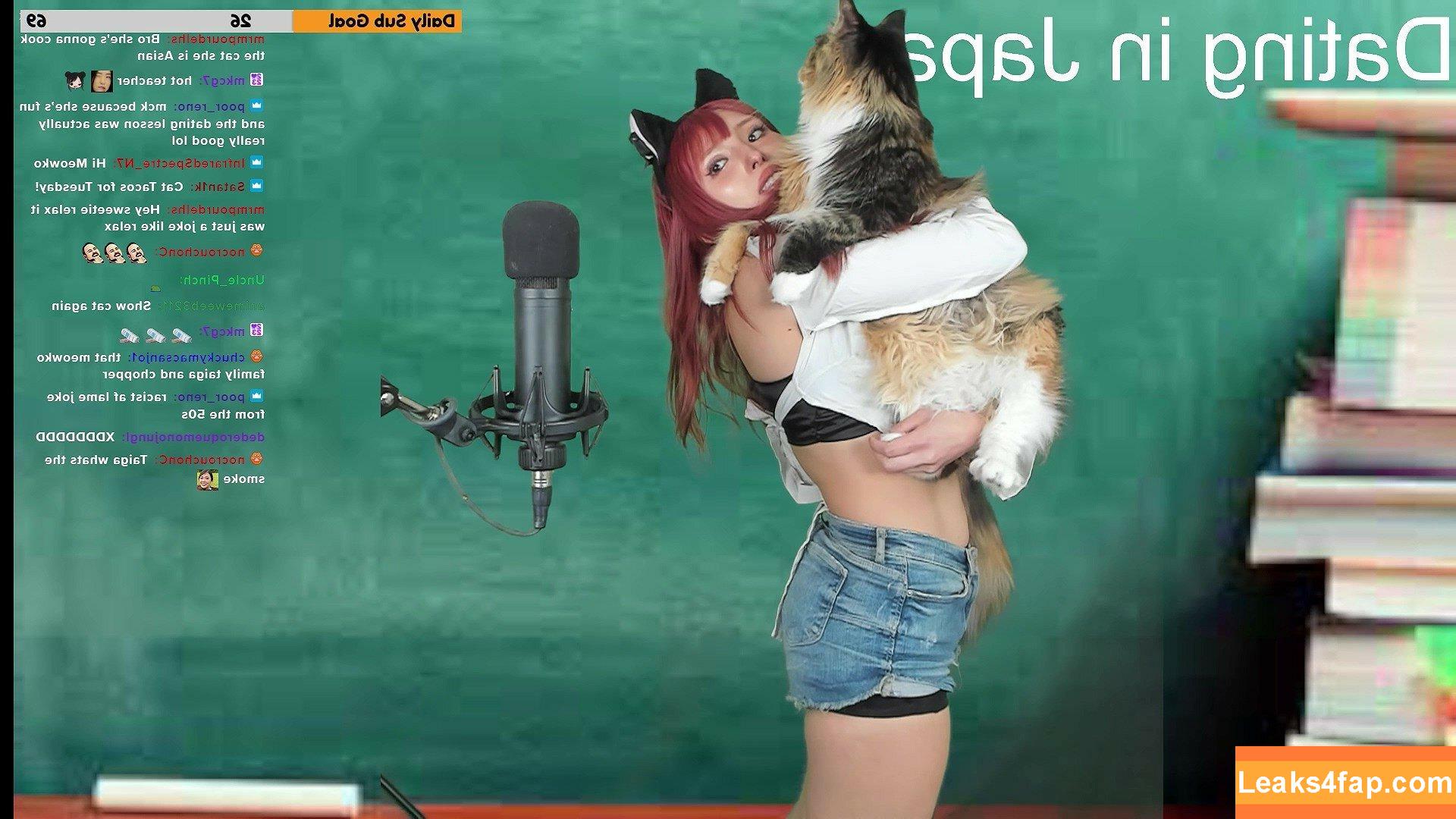 Meowko / meowkolol слитое фото фото #2343