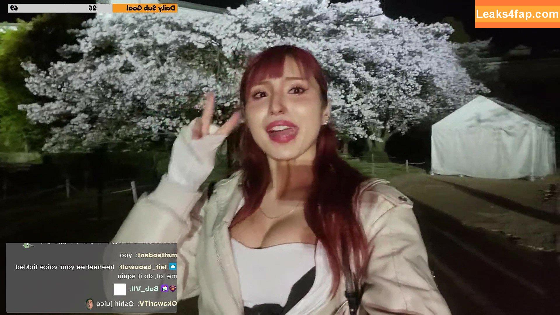 Meowko / meowkolol слитое фото фото #2374