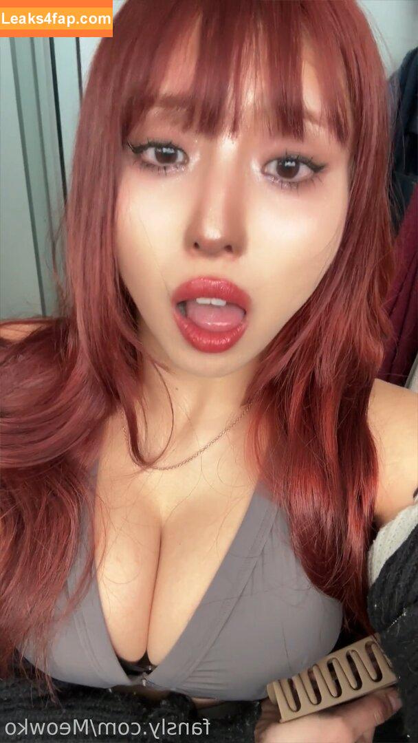 Meowko / meowkolol слитое фото фото #2444