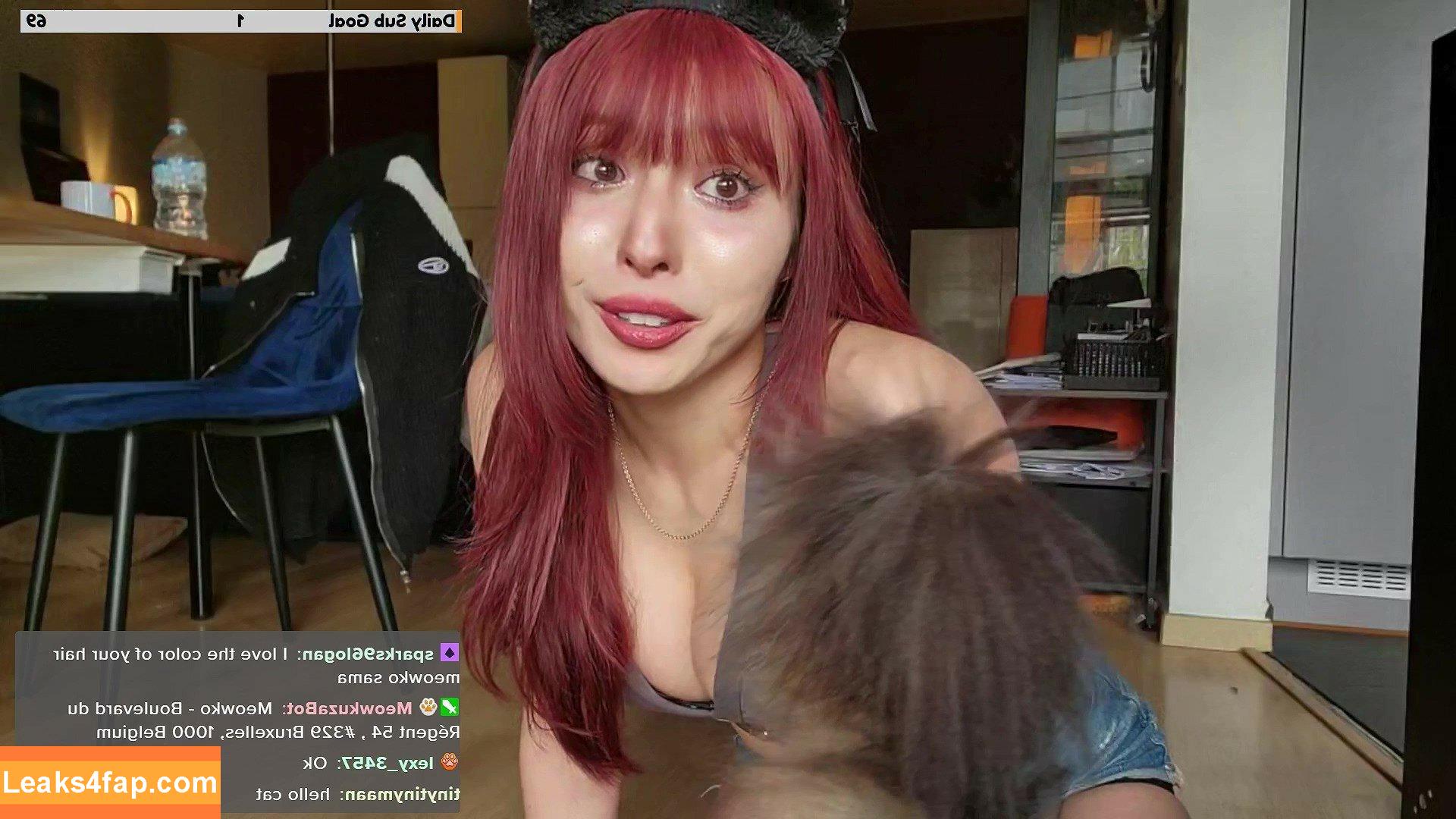 Meowko / meowkolol слитое фото фото #2446