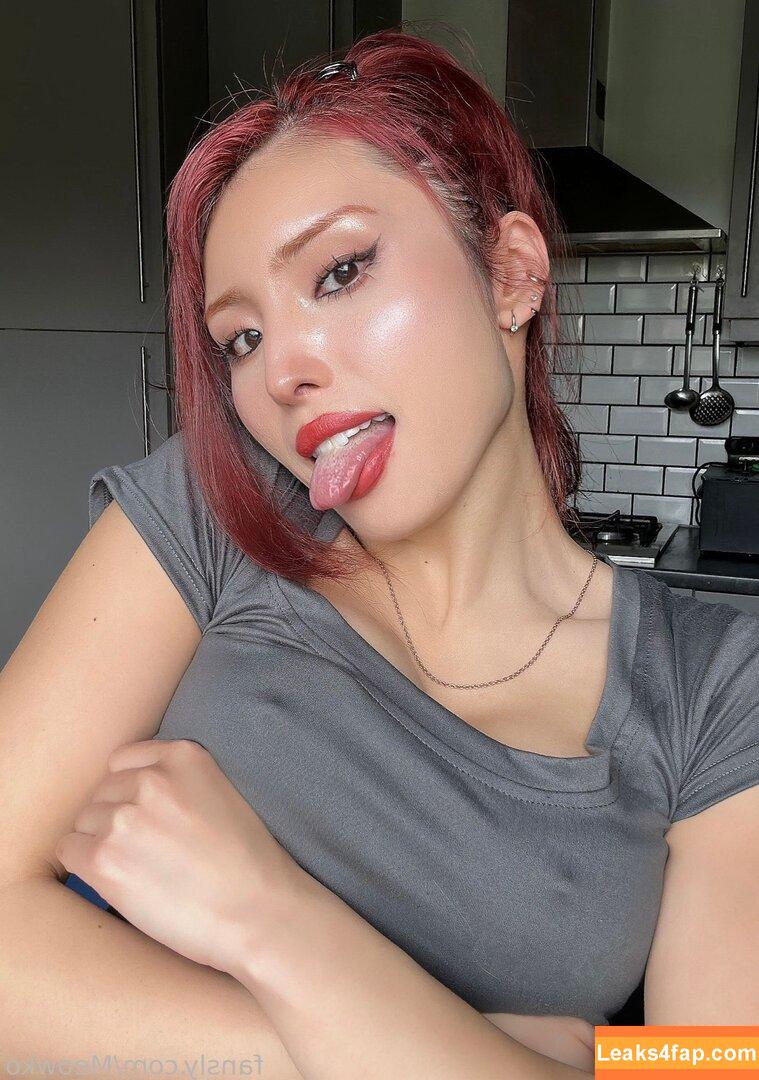 Meowko / meowkolol слитое фото фото #2620