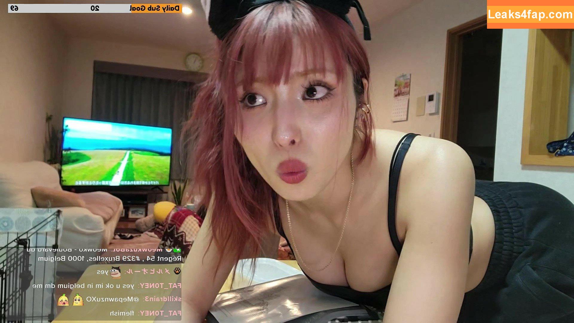 Meowko / meowkolol leaked photo photo #2738