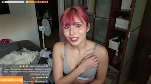 Meowko фото #2101