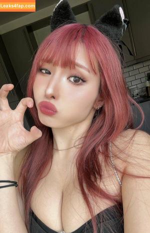 Meowko фото #2255