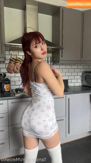 Meowko фото #2402