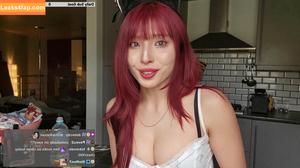 Meowko фото #2418