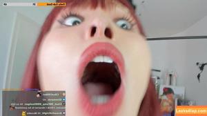 Meowko фото #2499