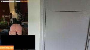 Meowko фото #2607