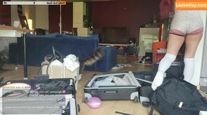 Meowko фото #2661