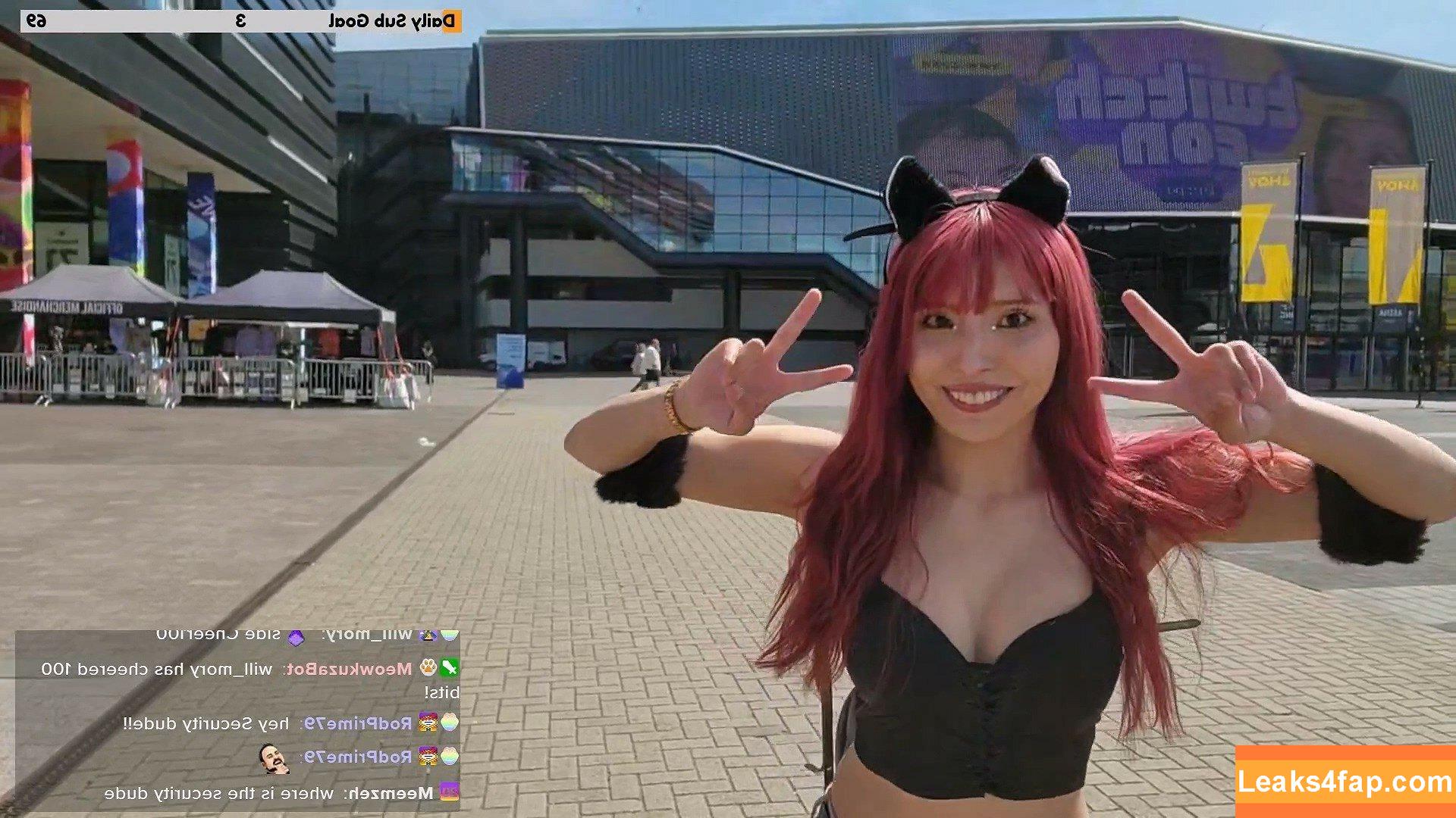 Meowko / meowkolol слитое фото фото #3042