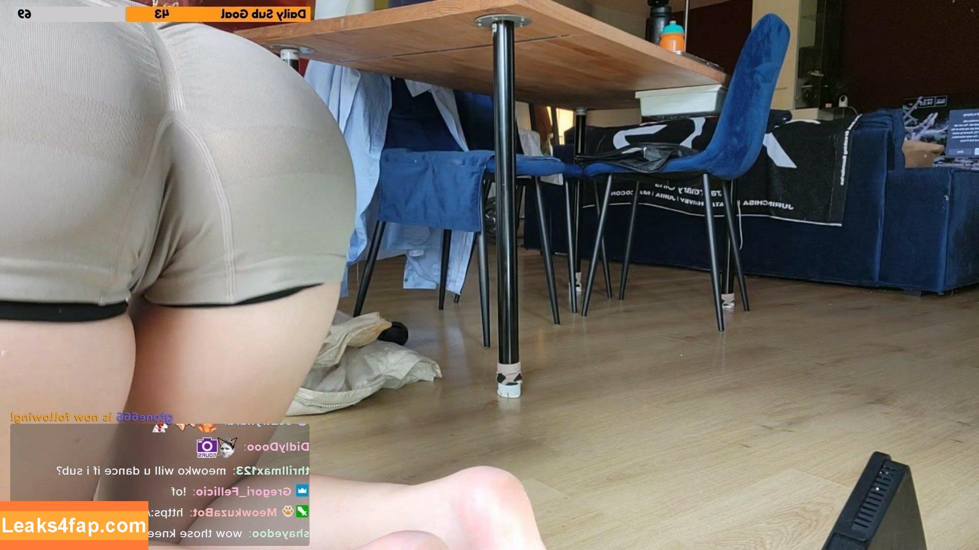Meowko / meowkolol leaked photo photo #3196