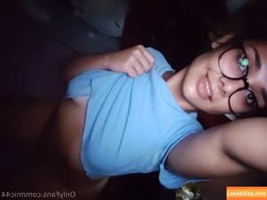 mic44 photo #0002