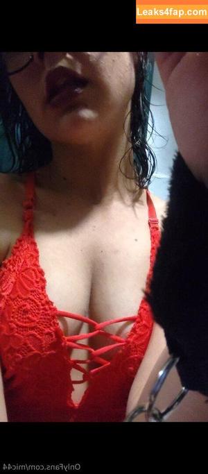 mic44 photo #0019