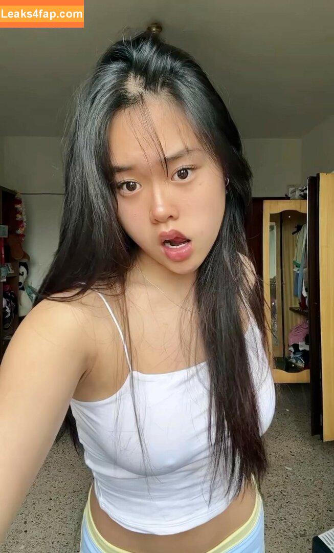 Michela Han / michelahan / michelahan_ / mijckfammerda leaked photo photo #0002