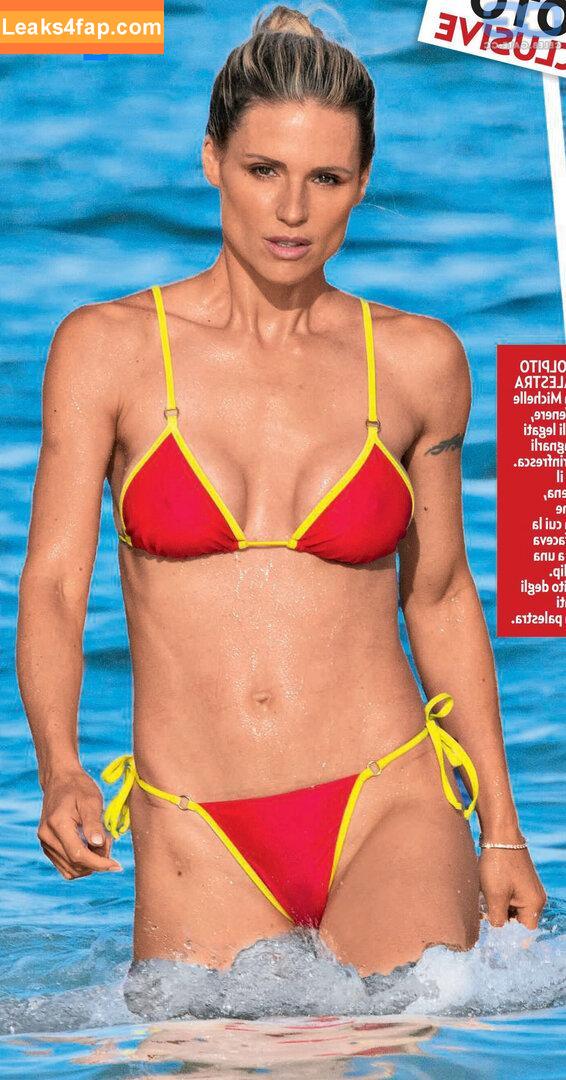 Michelle Hunziker / m_hunziker / therealhunzigram leaked photo photo #0291