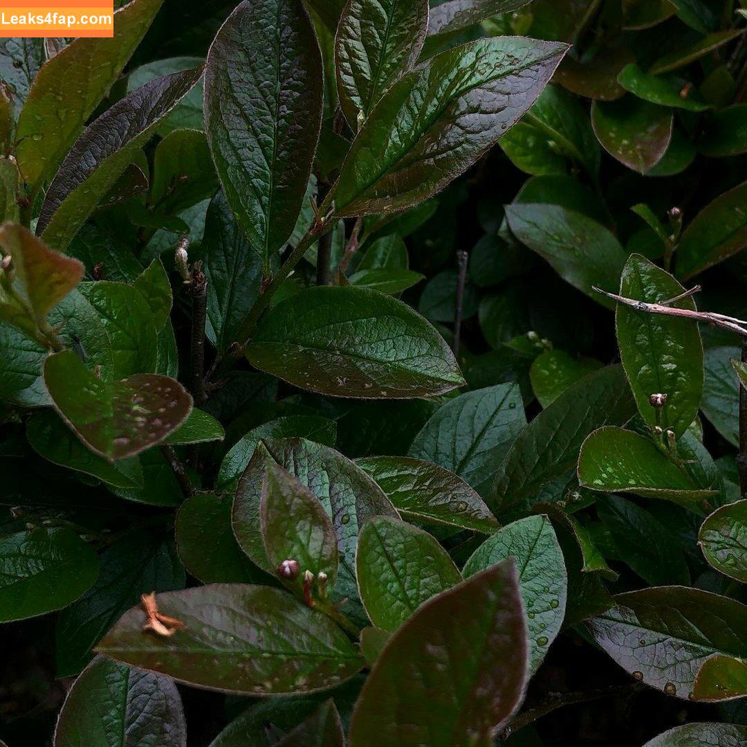 Michi Kyunn / michi_kyunn слитое фото фото #0350