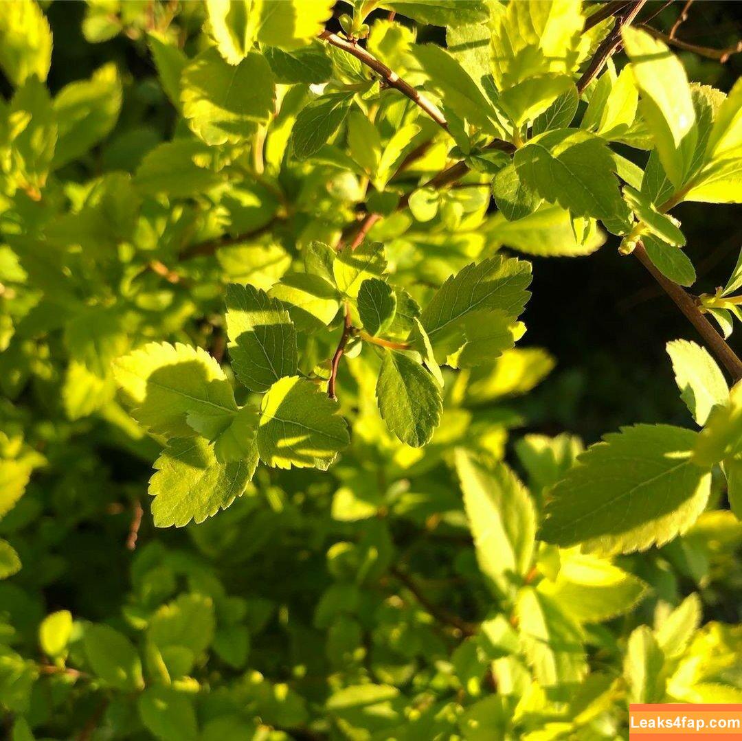 Michi Kyunn / michi_kyunn слитое фото фото #0359