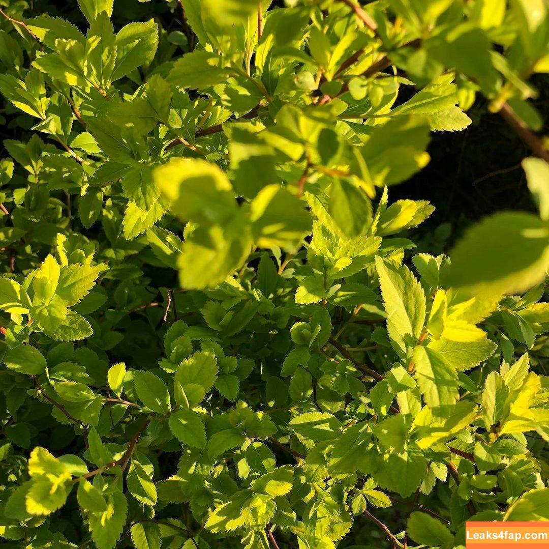 Michi Kyunn / michi_kyunn слитое фото фото #0367