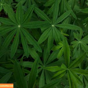 Michi Kyunn фото #0343