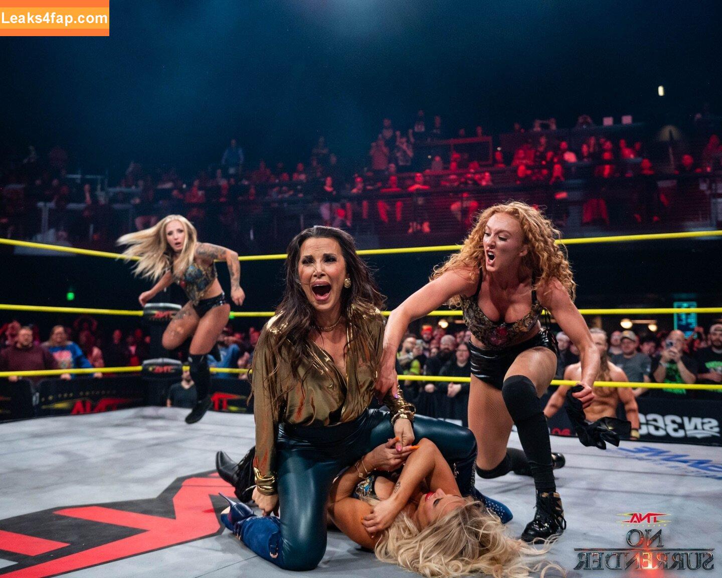 Mickie James / michelejames / themickiejames leaked photo photo #0675