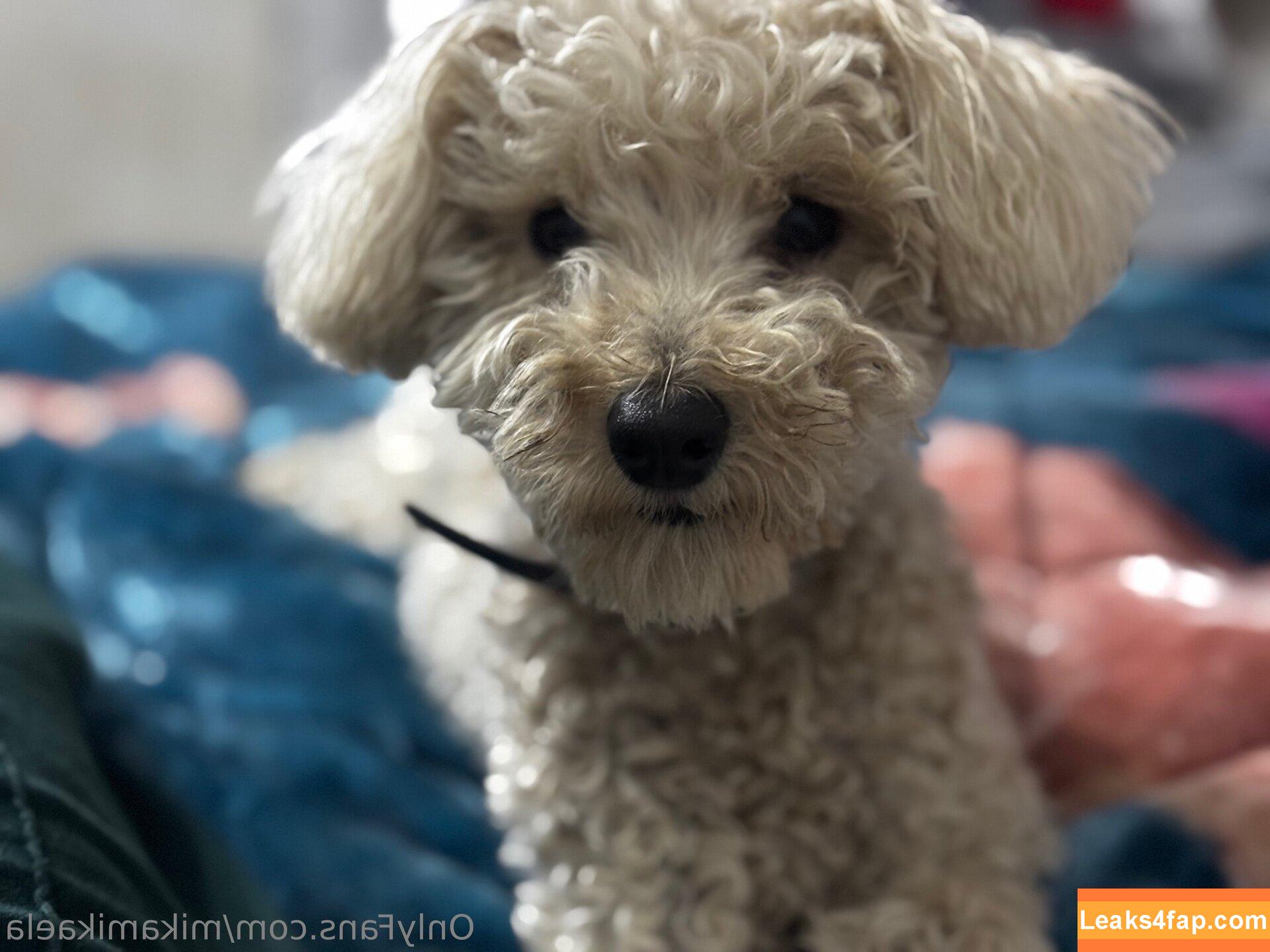 mikamikaela / mikamikaela_ слитое фото фото #0099