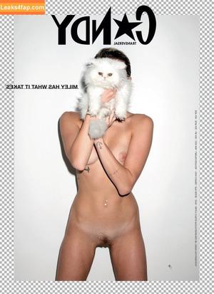 Miley Cyrus photo #0116