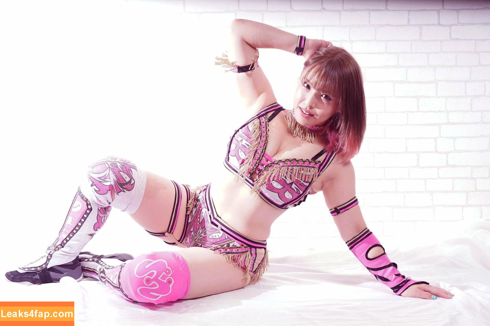 Mina Shirakawa / mina_shirakawa leaked photo photo #0102