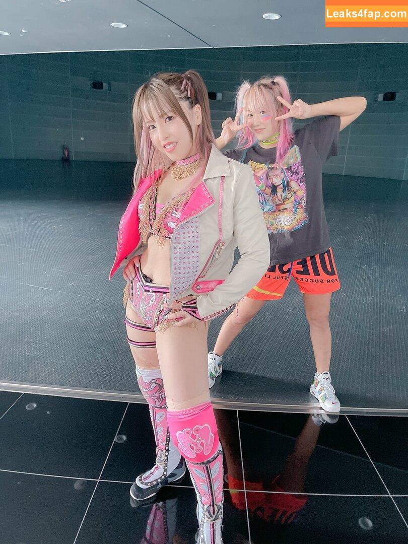 Mina Shirakawa / mina_shirakawa leaked photo photo #0122