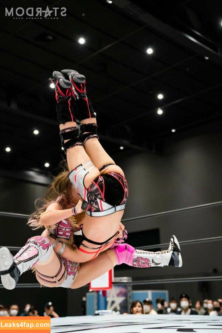 Mina Shirakawa / mina_shirakawa leaked photo photo #0199