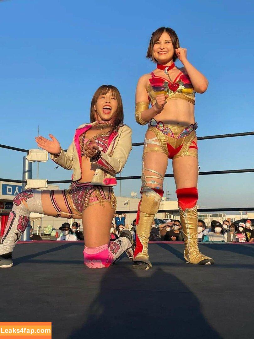 Mina Shirakawa / mina_shirakawa leaked photo photo #0201