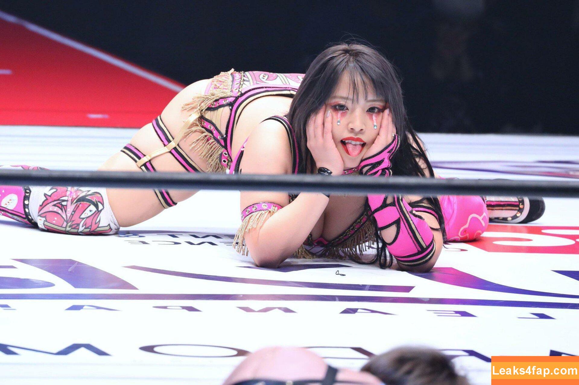 Mina Shirakawa / mina_shirakawa leaked photo photo #0256