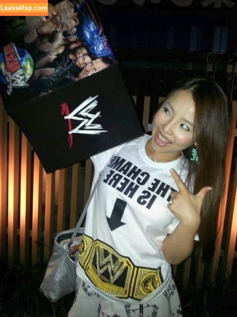 Mina Shirakawa / mina_shirakawa leaked photo photo #0264