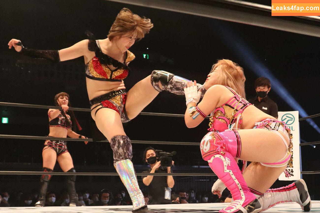 Mina Shirakawa / mina_shirakawa leaked photo photo #0278