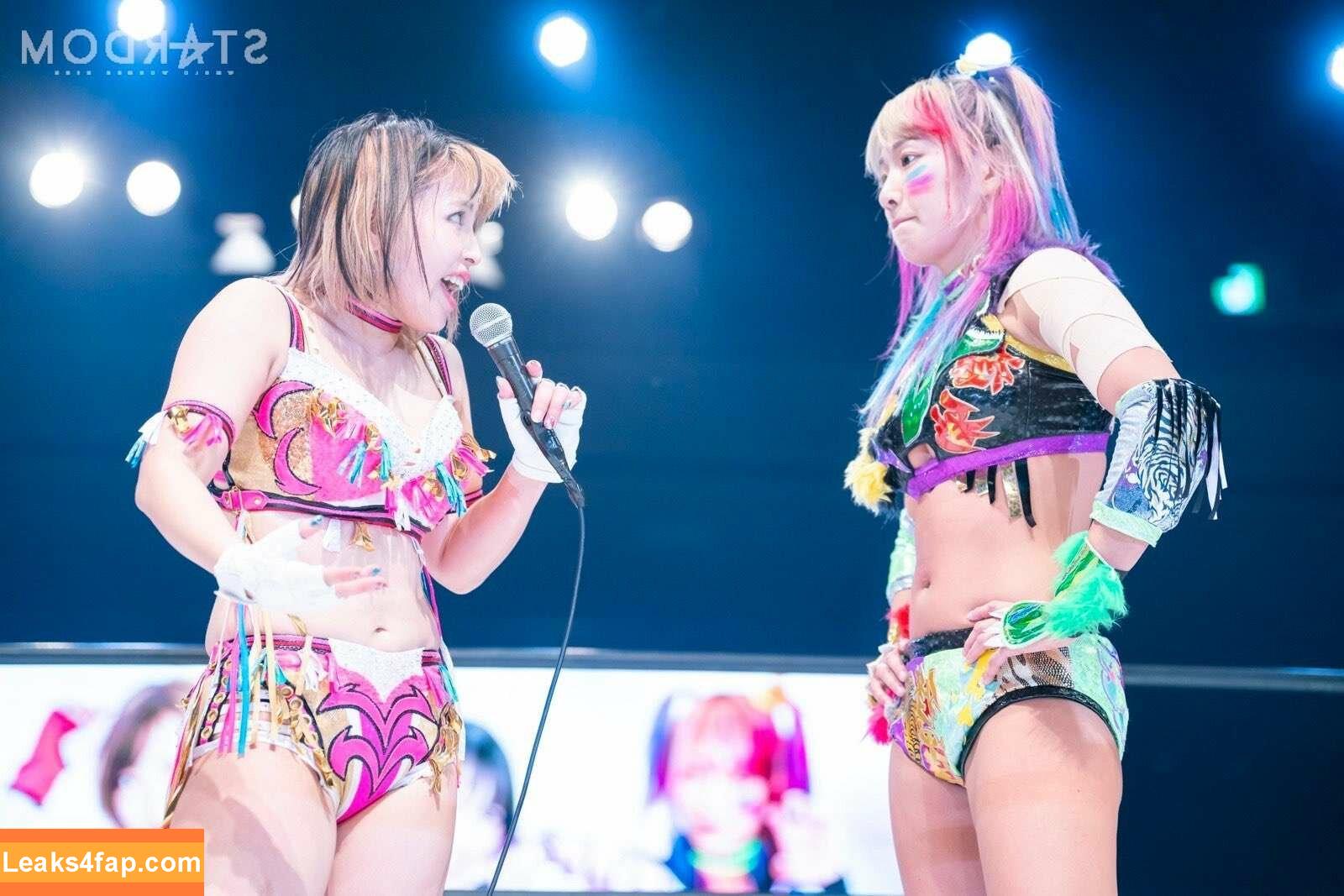 Mina Shirakawa / mina_shirakawa leaked photo photo #0281